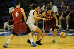 2014-02-02-A3F-SRBVirtus-Sorrento-304